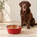 Chocolate Labrador sitting behind the RUBY pink diamond-hammered copper pet bowl on a tile floor