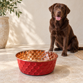 Chocolate Labrador sitting behind the RUBY pink diamond-hammered copper pet bowl beside a terracotta planter