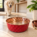 Golden Retriever puppy walking toward the RUBY pink diamond-hammered copper pet bowl in a sunlit entryway