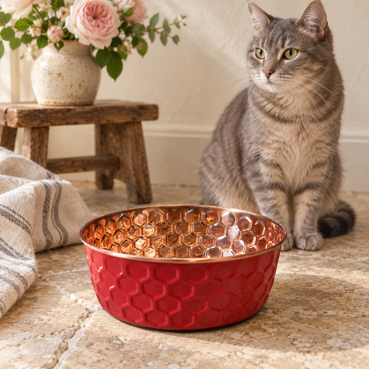 Gray tabby cat sitting beside the RUBY pink diamond-hammered copper pet bowl near pink roses