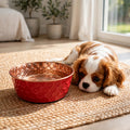Cavalier King Charles Spaniel puppy lying beside a RUBY red honeycomb-hammered 99.9% pure copper dog water bowl on a woven mat, by Embers Elements